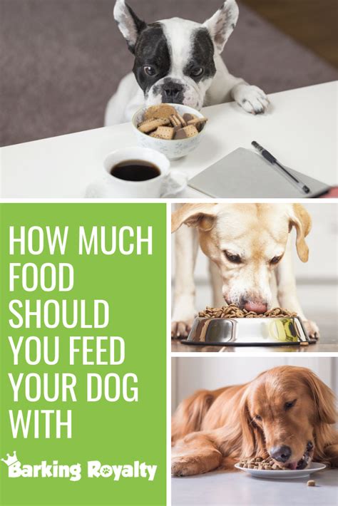 We did not find results for: Pin on Dog Nutrition