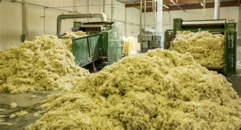 Below are 46 working coupons for havelock wool discount code from reliable websites that we have updated for. Sheep's wool insulation seen as sustainable option