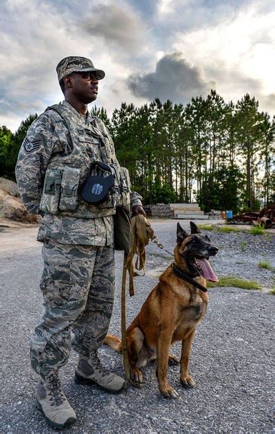 Us Air Force Security Forces K9 Handler