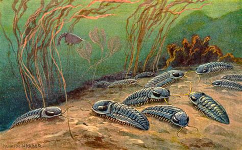 Research Sheds New Light On Life Of Trilobites