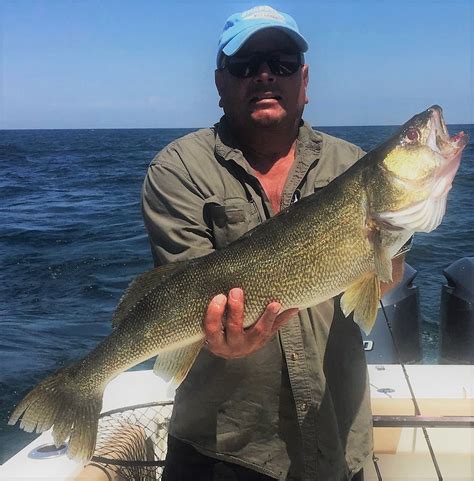 Lake erie fishing the best walleye fishery in the world lake erie walleye fishing with capt. Lake Erie Walleye Charter Fishing Boat, Port Clinton