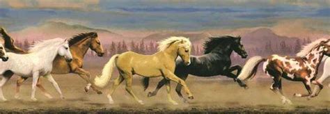 Choose from 4200+ horses graphic resources and download in the form of png, eps, ai horse year window grille spring festival border paper cut. Horse Mustang Stallions Equestrian Wallpaper Wall Border ...