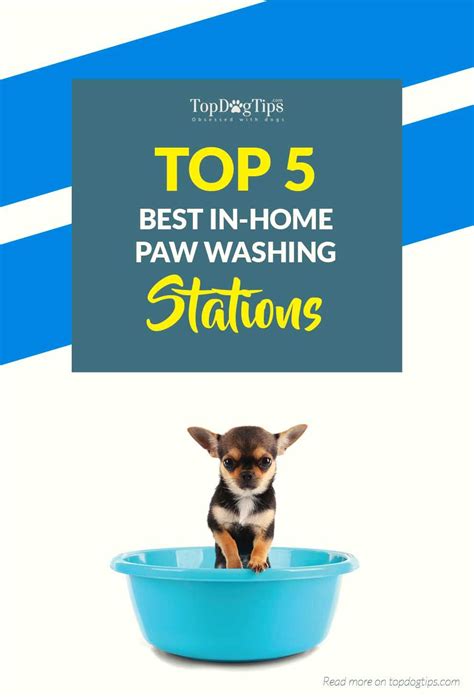 Find out more about performatrin. Top 5 Best Paw Wash for Dogs 2018 (easily removes dirt ...