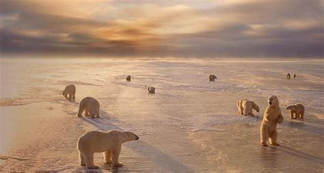 A collection of videos from manitoba, canada. Churchill Travel Guide | Vacation Advice 101