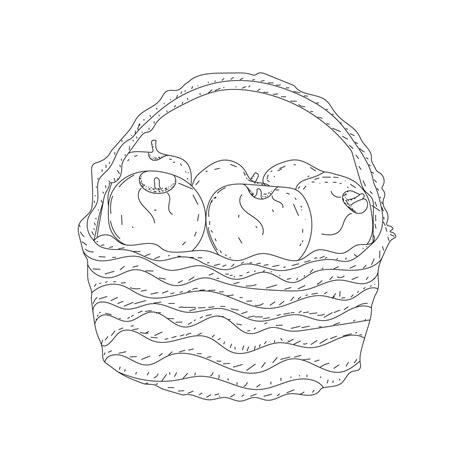 Illustration Of The Basket Full Of Fruits In Line Art Mode Apple