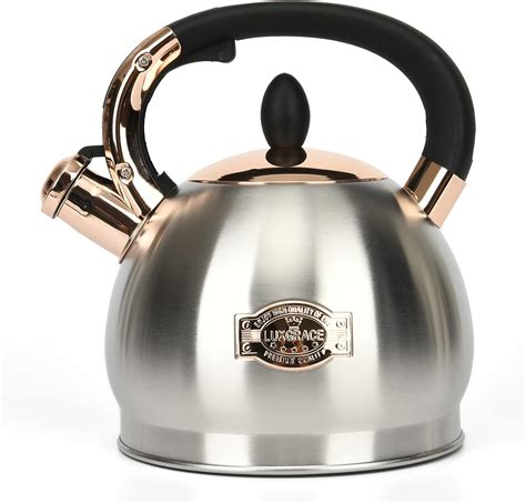LUXGRACE 2 8 L Stainless Steel Tea Kettle Whistling Kettle With