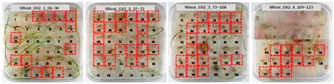 Sensors Free Full Text Application Of Near Infrared Reflectance