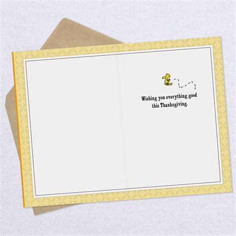 Peanuts Snoopy And Woodstock So Thankful Thanksgiving Card Greeting