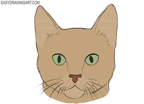We tried not to overload it with unnecessary details. How to Draw a Cat Face | Easy Drawing Art