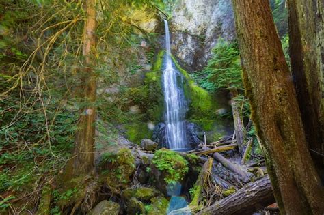 Premium Photo Beautiful Waterfall In Vancouver Island Canada