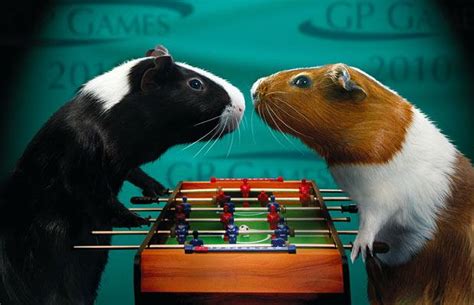 Guinea Pig Games 2010 Calendar