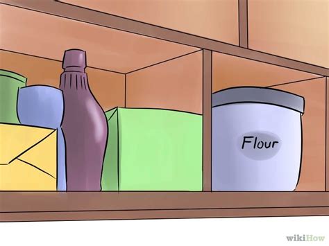 But how did the weevils get there in the first place? How to Get Rid of Weevils (Flour Bugs) | Pantry bugs ...