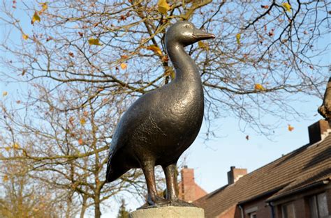 Kolgans Laagbos Haagse Beemden Kunst In Breda