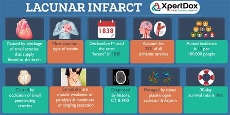 Pin On Diseases Disorders Infographics