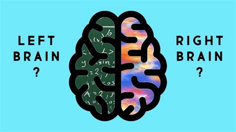 His brain had more extensive fiber connections in his corpus callosum. What's the Difference Between the Right Brain and Left ...