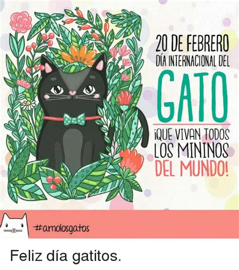 FM SECLA 106 1 20 de febrero Día Internacional del Gato