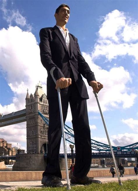 Profile Of The Worlds 10 Tallest Man