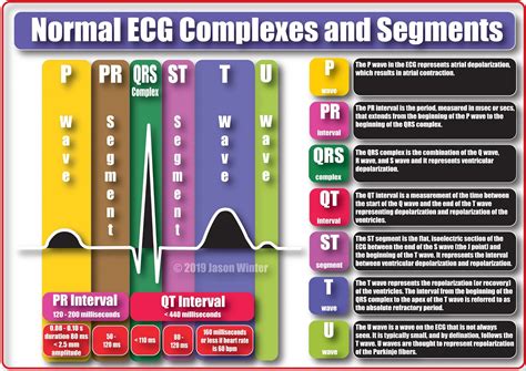 Ecg Educator Blog Basic Electrophysiology