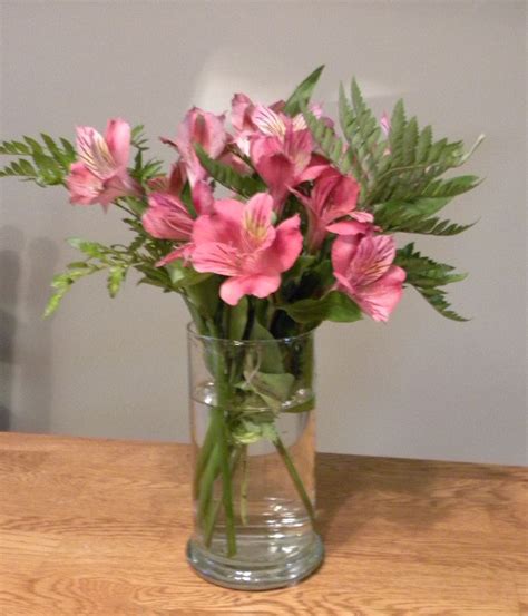 We did not find results for: Make your Cut Flowers Last Longer - Hobbies on a Budget