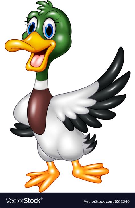 Cartoon Mallard Duck Waving Isolated Royalty Free Vector