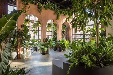 How Biophilic Design Can Makes Us Happier And More Productive