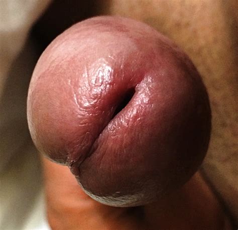 Pussy Close Up Cock Head Xxx Porn