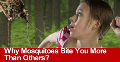 Why Mosquitoes Bite You More Than Others Neopress