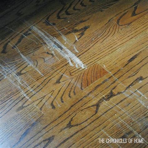 Fix Scratched Hardwood Floors In About Five Minutes The Chronicles Of