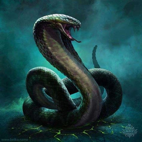 Pin By Raven On My Compilation Fb Snake Painting Snake Art Snake