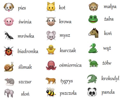 But how many words about animals name in english do you know? zwierzęta (animals) | Learn polish, Polish language ...