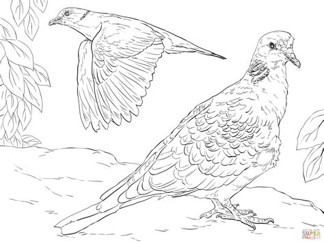 Download Turtle Dove coloring, Download Turtle Dove coloring for ...
