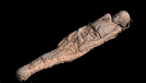 le muséum de toulouse dévoile l autopsie d une momie égyptienne