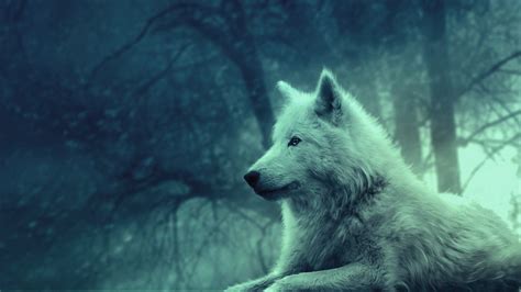 Here are only the best red 1080p wallpapers. Wolf Wallpapers HD Group (78+)
