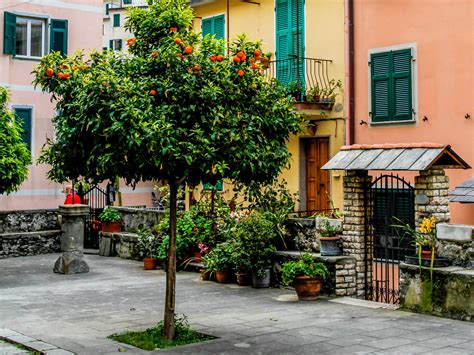 Italy Houses Cinque Terre Park Liguria Trees Street Hd Wallpaper