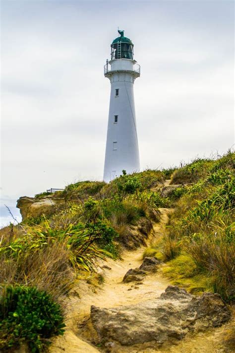 Castlepoint Lighthouse North Island New Zealand Stock Photo Image