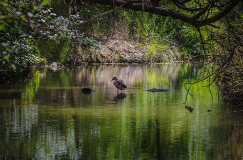 Beautiful (and Secret) Places to Visit in Southern California - Thrillist