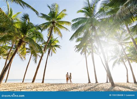 Couple Standing On Sandy Beach Among Palm Trees On Sunny Morning Stock