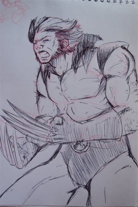 Wolverine Dibujo De Colectivo Por Earprimero Dibujando