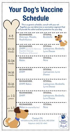 Puppy weight chart examples for puppies of all breed sizes and categories. Exercise Guidelines For Puppies (from Puppy Culture ...
