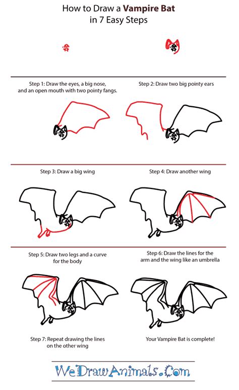 The average life span of a bat is around twenty years. How to Draw a Vampire Bat