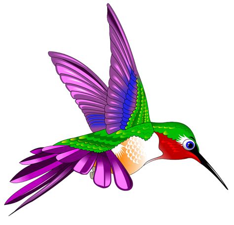 Flying Hummingbird Clipart Transparent Clipart World