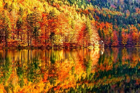 October Colorful Glow Colors Nice Reflection Shine Autumn