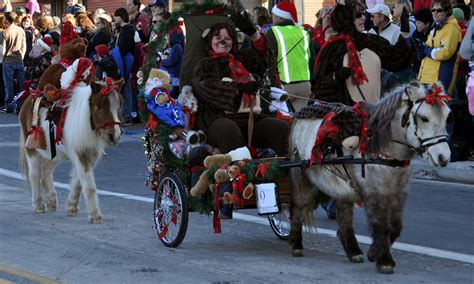 Braymere Custom Saddlery Minis At The Christmas Carriage Parade