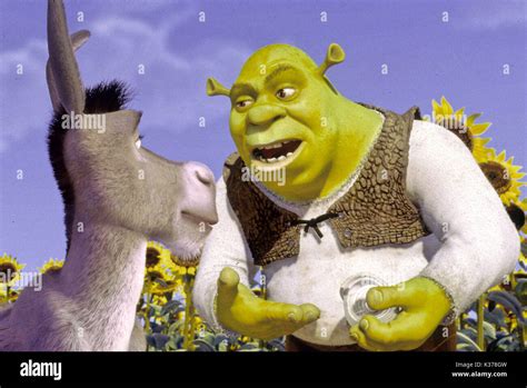 Shrek Dreamworks Skg Picture From The Ronald Grant Archive Shrek