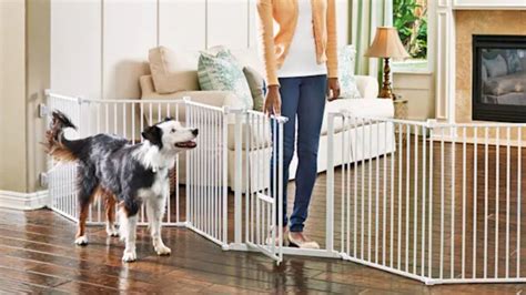 Black Friday 2020: The best Petsmart, Petco, and Chewy deals right now