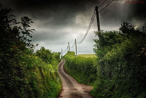 A Quiet Country Lane In Somerset Tony Eveling Photography