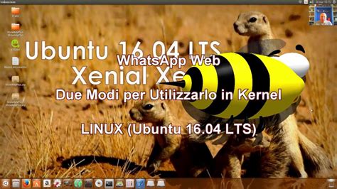 Whatsapp Web Pc Per Linux Ubuntu 1604 Lts E Lestensione Per