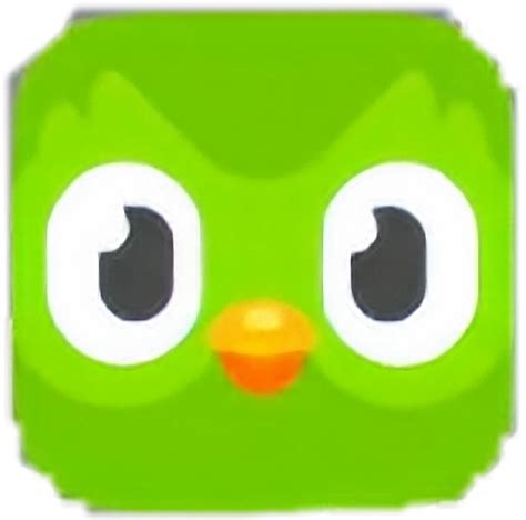 Freetoedit Duolingo Duolingobird Sticker By Deidarabirds