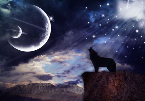 Pics Of Wolves Howling At The Moon Wolf Howling At The Moon By