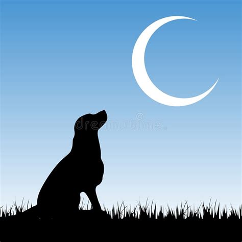 Dog And Moon Stock Illustration Illustration Of Mother 12743457